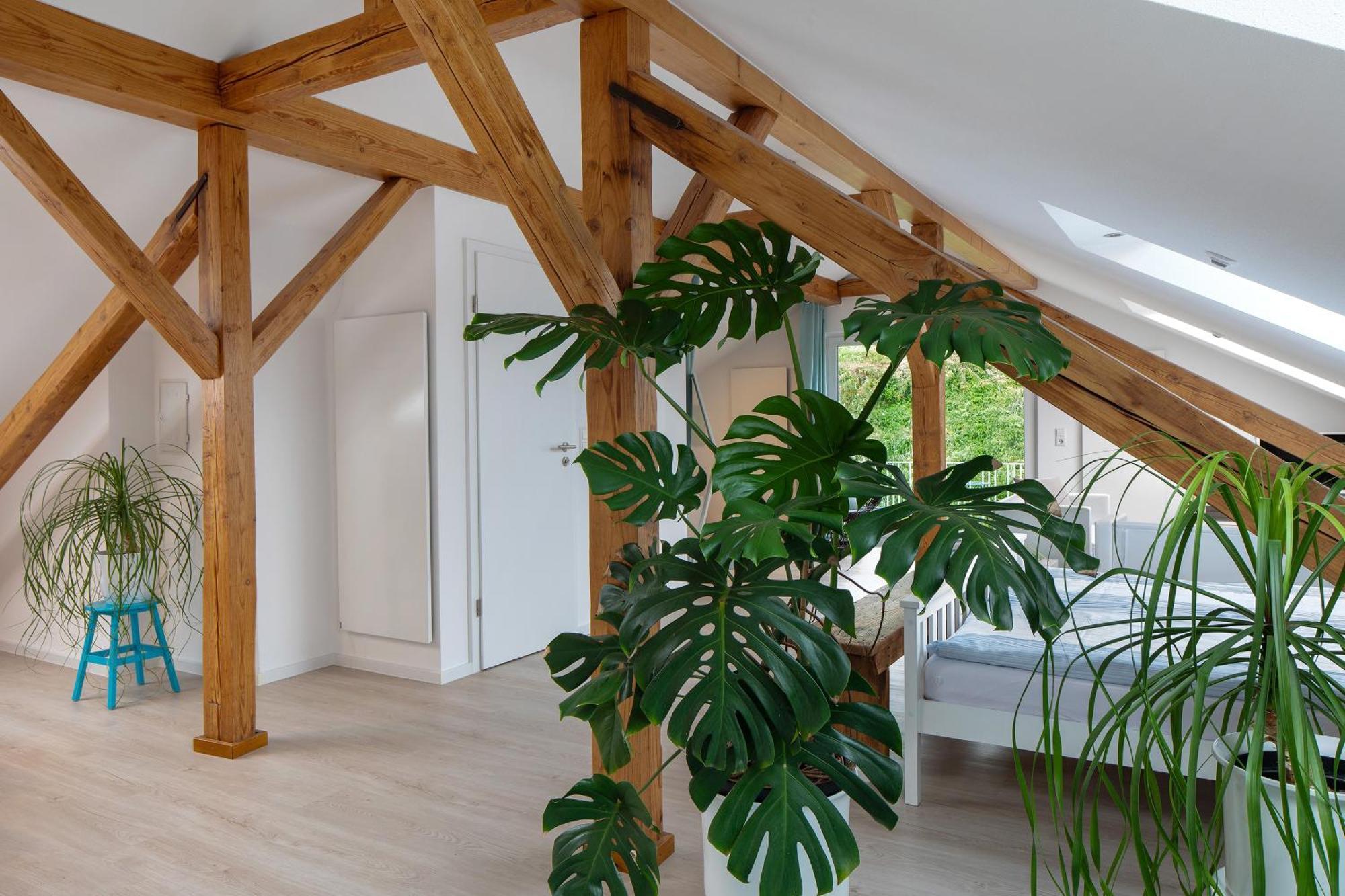Ferienhaus Engelsberghof Endingen am Kaiserstuhl Buitenkant foto